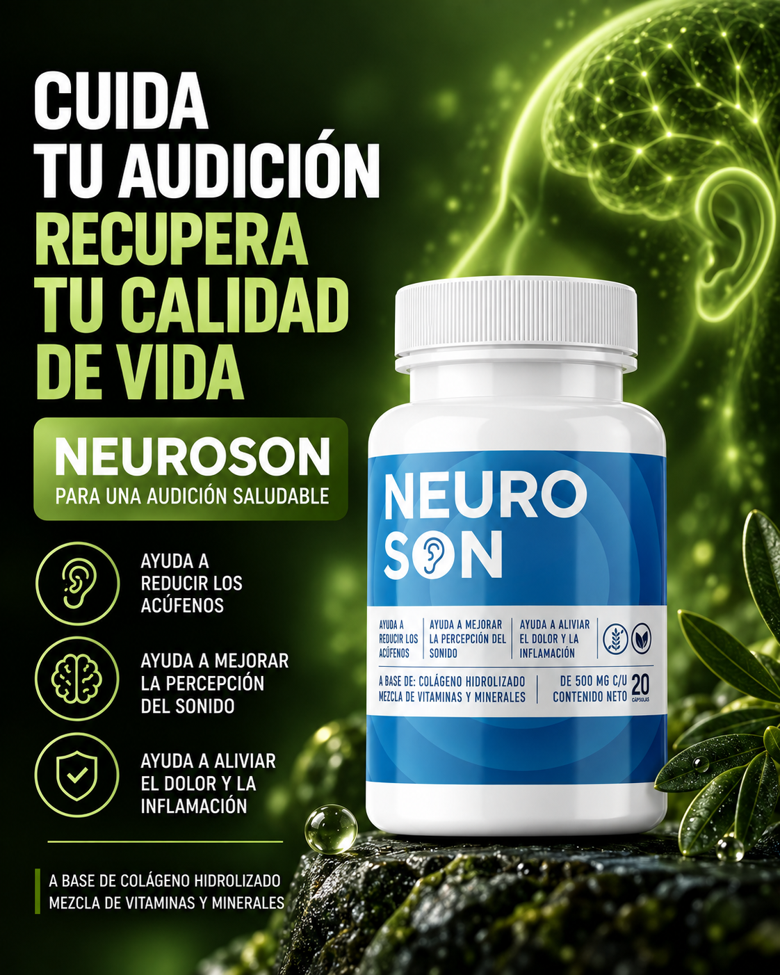 Neuroson